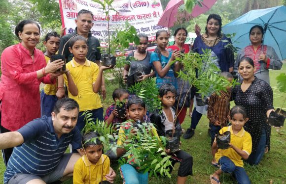 वैश्य फाउंडेशन ने सौ पौधे रोपकर दिया वातावरण स्वस्थ बनाने का संदेश